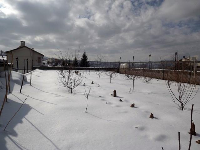 Name:  DSCF0887.jpg
Views: 1437
Size:  33.8 KB