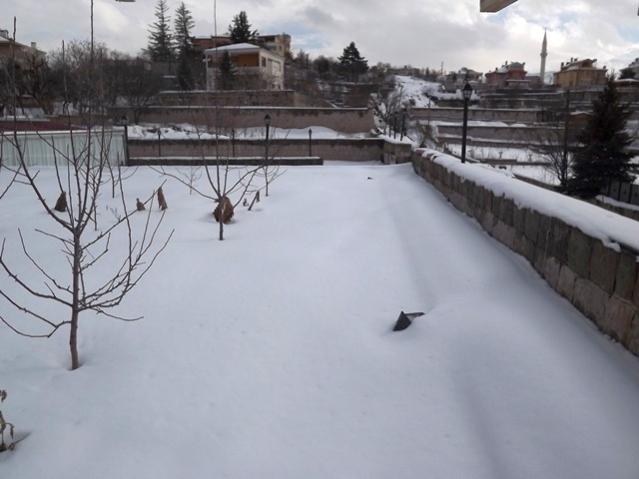 Name:  DSCF0889.jpg
Views: 1483
Size:  35.4 KB