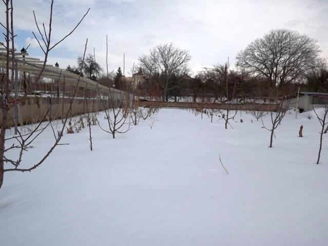 Name:  DSCF0890.jpg
Views: 1449
Size:  35.8 KB