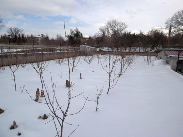 Name:  DSCF0891.jpg
Views: 1469
Size:  36.0 KB