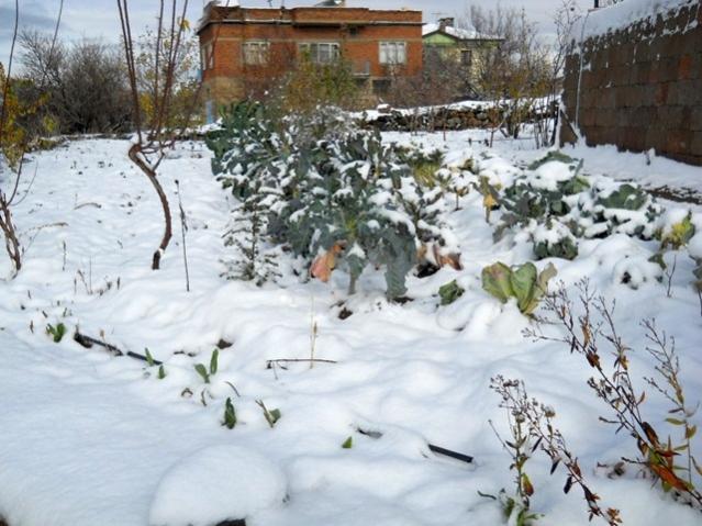 Name:  DSCN3290.jpg
Views: 1447
Size:  57.6 KB