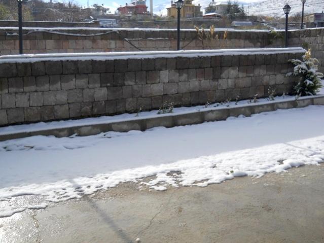 Name:  DSCN3301.jpg
Views: 1418
Size:  45.1 KB