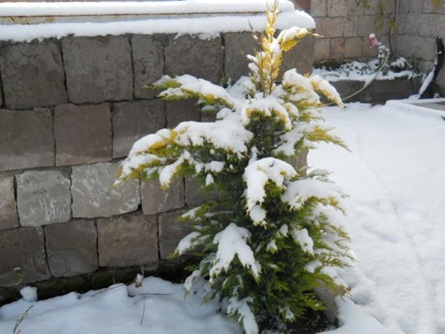 Name:  DSCN3302.jpg
Views: 1413
Size:  45.2 KB