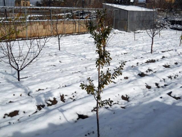 Name:  DSCN3309.jpg
Views: 1397
Size:  58.9 KB