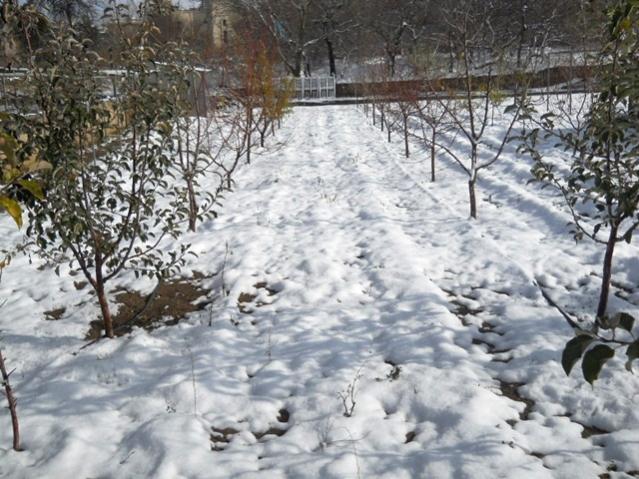 Name:  DSCN3318.jpg
Views: 1439
Size:  67.0 KB