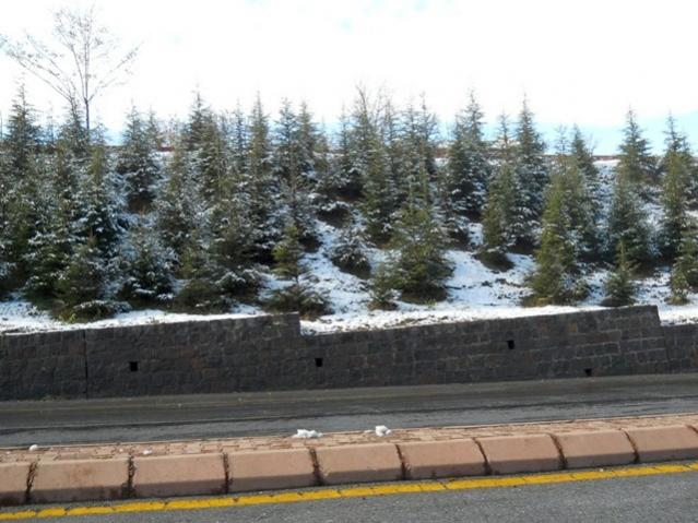 Name:  DSCN3329.jpg
Views: 1408
Size:  53.8 KB