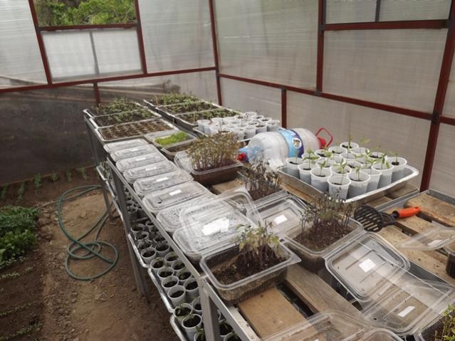 Name:  DSCF0947.jpg
Views: 1330
Size:  54.7 KB