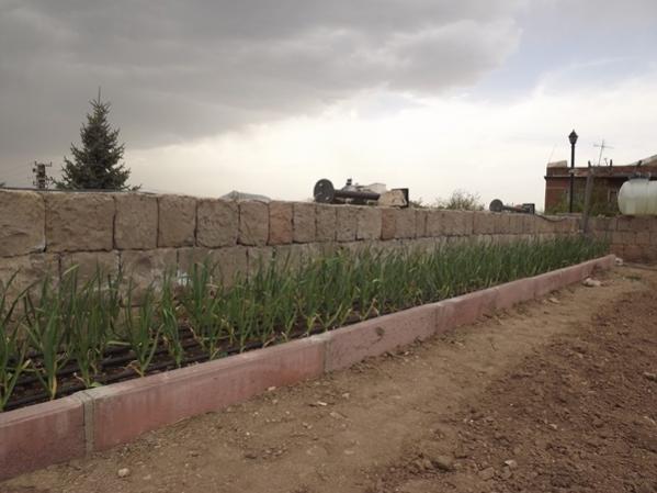 Name:  i bahe bahar ba 10.jpg
Views: 1321
Size:  34.8 KB