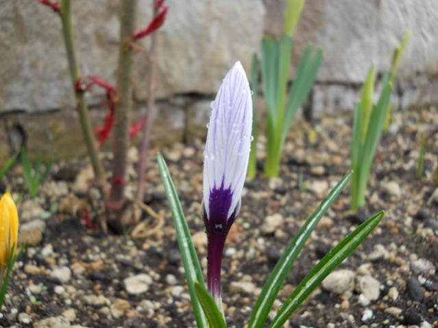 Name:  DSCN0021.jpg
Views: 1282
Size:  43.6 KB
