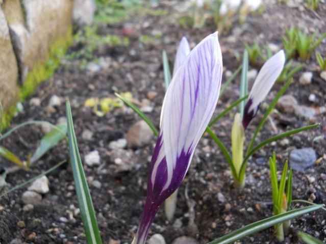 Name:  DSCN0052.jpg
Views: 1258
Size:  46.9 KB