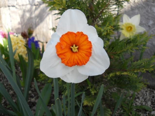 Name:  DSCN0123.jpg
Views: 1248
Size:  39.0 KB