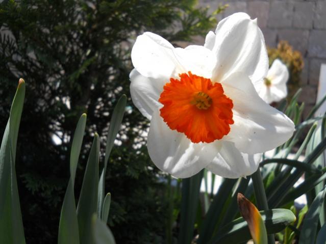 Name:  DSCN0152.jpg
Views: 1225
Size:  38.3 KB