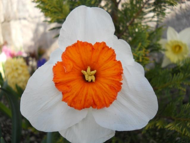 Name:  DSCN0124.jpg
Views: 1251
Size:  32.5 KB