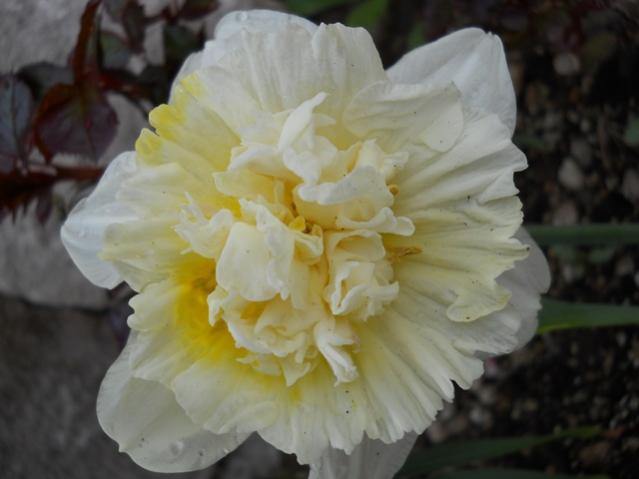 Name:  DSCN0104.jpg
Views: 1221
Size:  29.7 KB