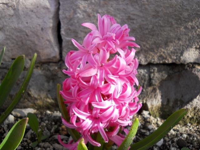 Name:  DSCN0118.jpg
Views: 1195
Size:  50.1 KB