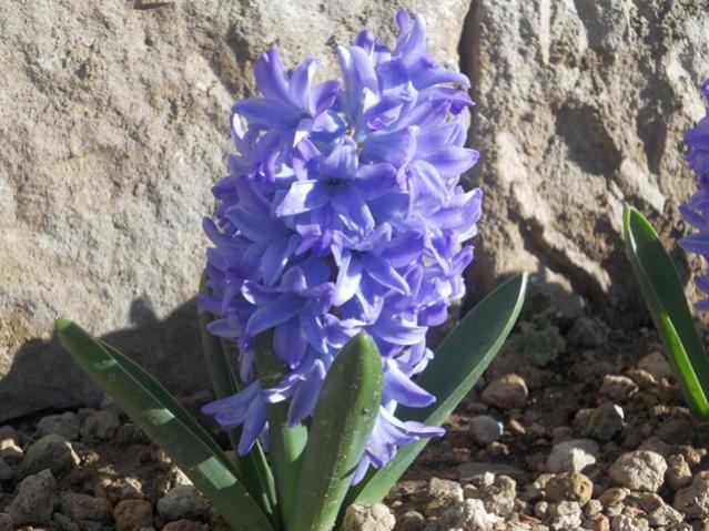 Name:  DSCN0474.jpg
Views: 1187
Size:  62.4 KB