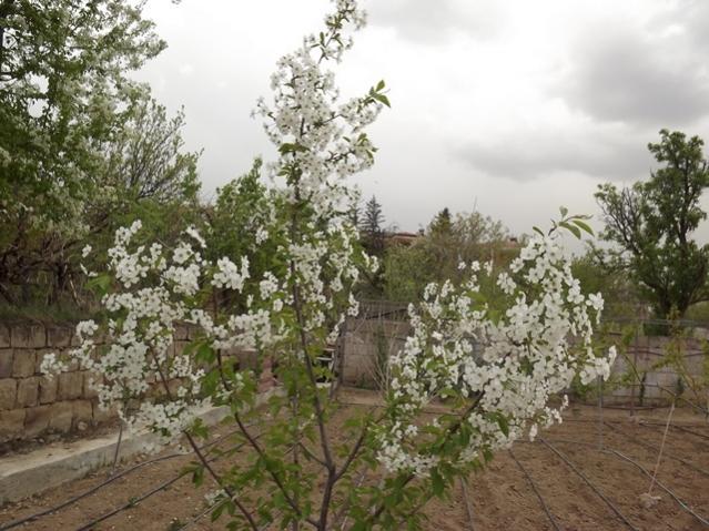 Name:  DSCF0918.jpg
Views: 1313
Size:  62.0 KB