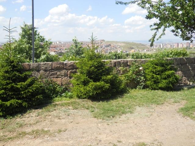 Name:  450.jpg
Views: 982
Size:  66.3 KB