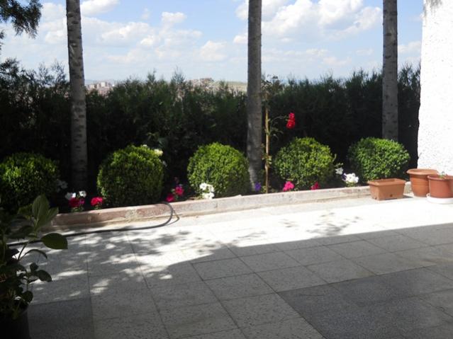 Name:  437.jpg
Views: 1148
Size:  44.1 KB