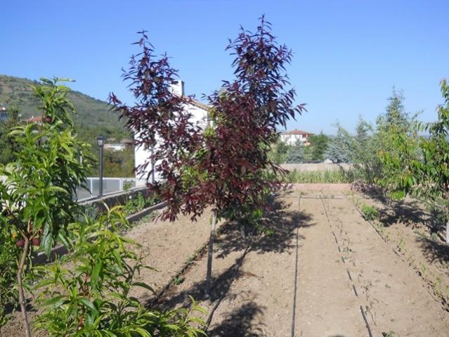 Name:  470.jpg
Views: 1111
Size:  65.2 KB