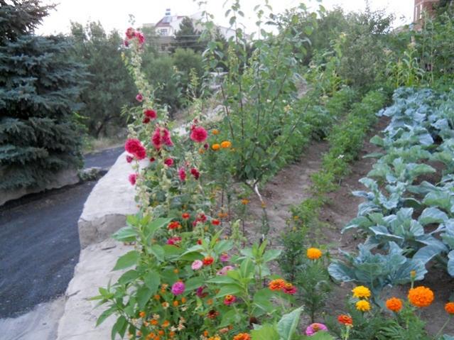Name:  servet1 296.jpg
Views: 1768
Size:  63.7 KB