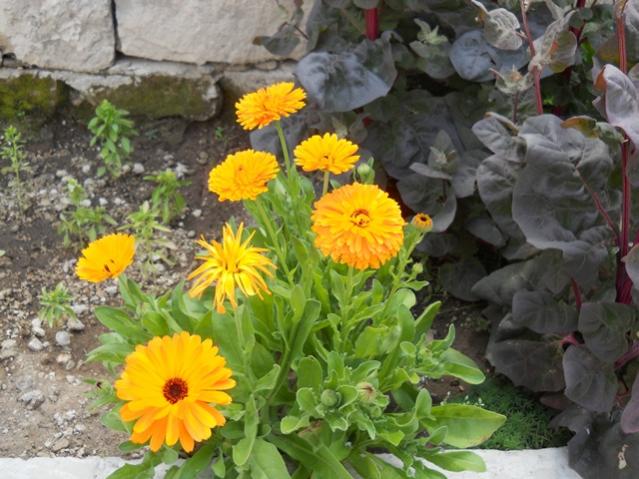 Name:  610.jpg
Views: 1596
Size:  57.3 KB