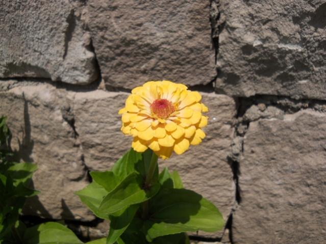 Name:  616.jpg
Views: 1599
Size:  50.5 KB