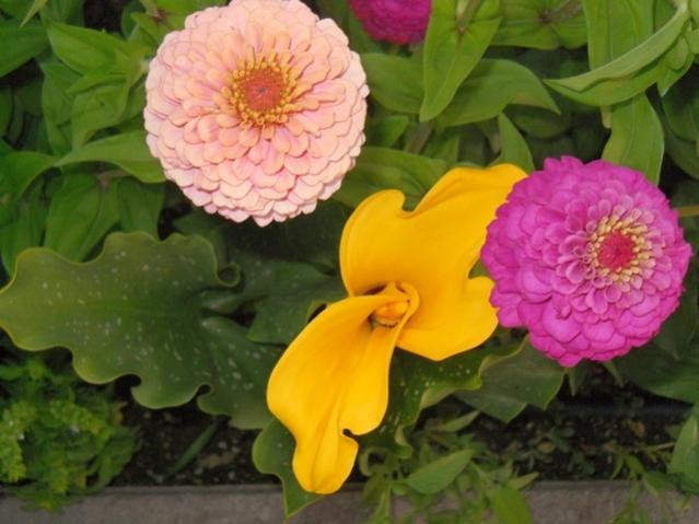 Name:  servet1 146.jpg
Views: 998
Size:  40.9 KB