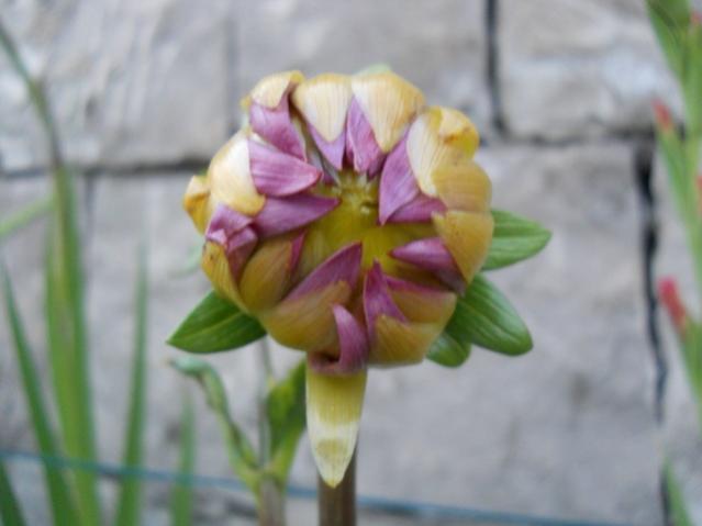 Name:  servet1 288.jpg
Views: 994
Size:  26.6 KB