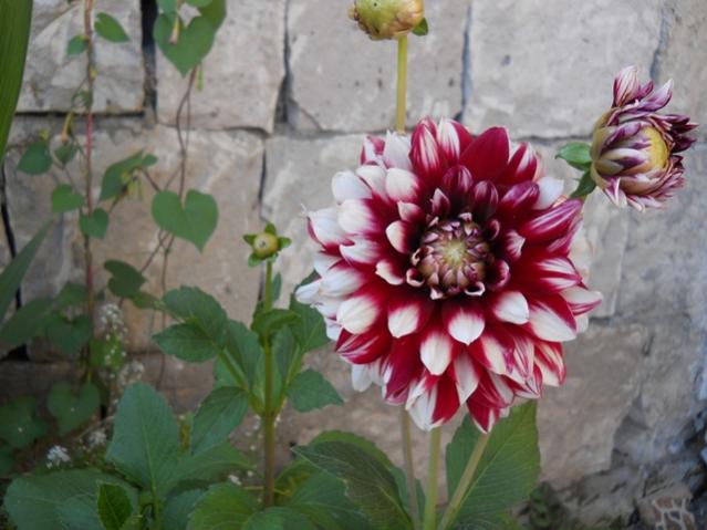 Name:  servet1 115.jpg
Views: 1107
Size:  43.3 KB