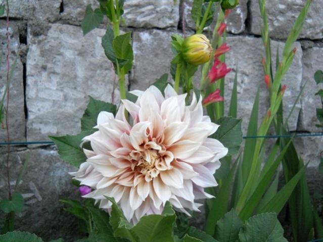Name:  servet1 284.jpg
Views: 1153
Size:  48.4 KB