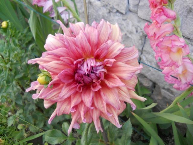 Name:  servet1 325.jpg
Views: 1293
Size:  48.6 KB