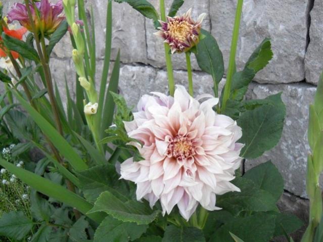 Name:  servet1 349.jpg
Views: 1294
Size:  50.3 KB