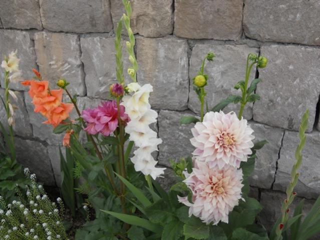Name:  servet1 409.jpg
Views: 1258
Size:  51.8 KB