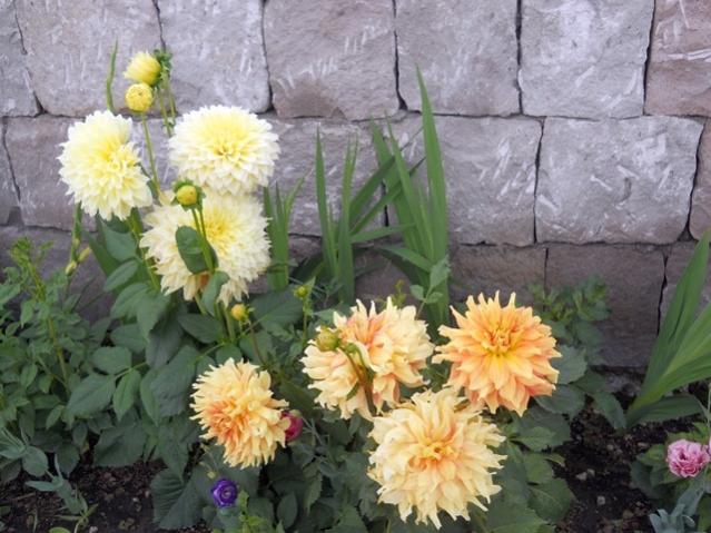 Name:  servet1 404.jpg
Views: 1251
Size:  54.9 KB