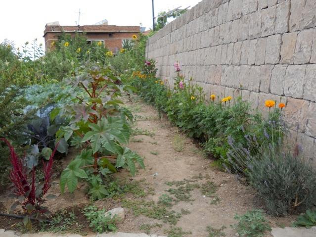 Name:  servet1 413.jpg
Views: 1191
Size:  61.7 KB