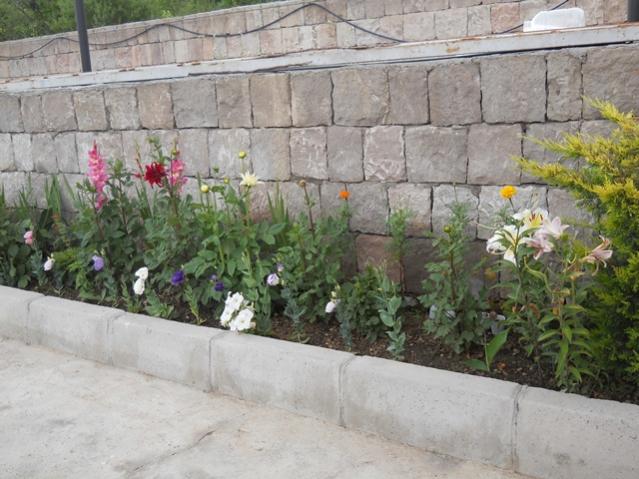 Name:  servet1 387.jpg
Views: 1260
Size:  54.8 KB