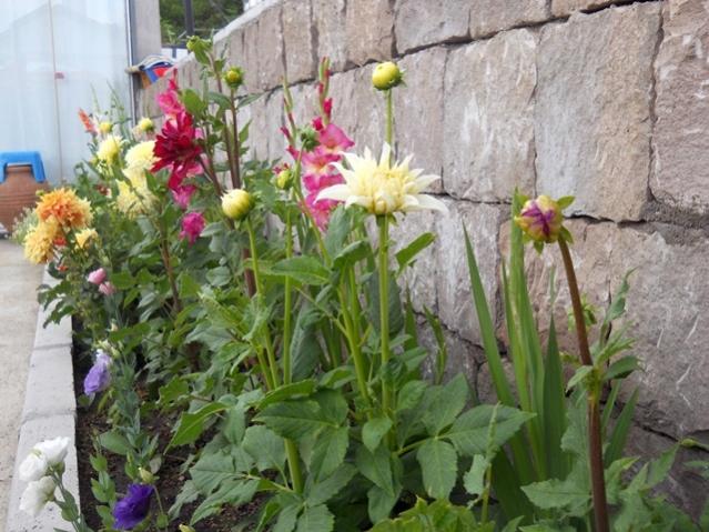 Name:  servet1 389.jpg
Views: 1209
Size:  60.1 KB