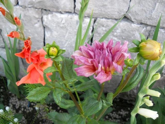 Name:  servet1 348.jpg
Views: 1208
Size:  50.4 KB