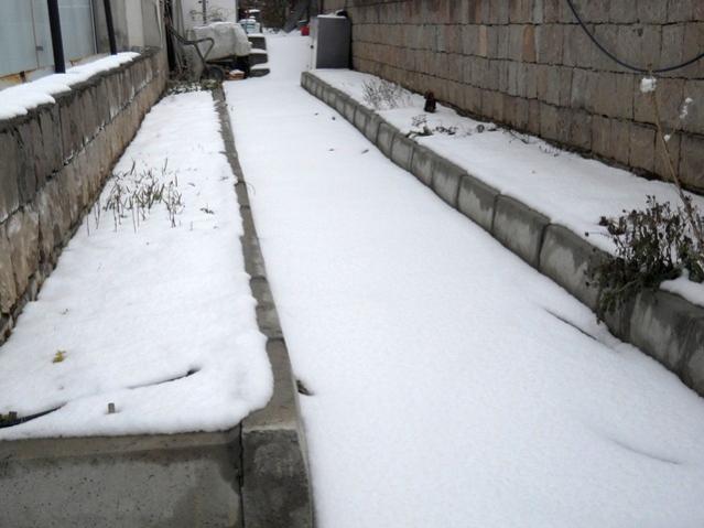 Name:  DSCN3639.jpg
Views: 1116
Size:  38.0 KB