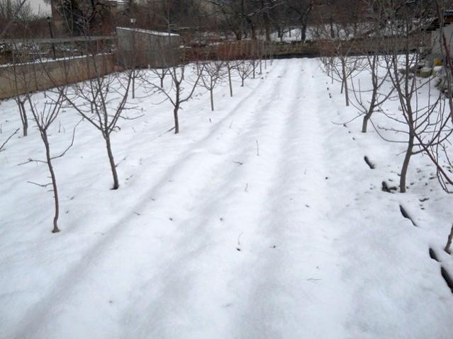Name:  DSCN3640.jpg
Views: 1086
Size:  42.3 KB