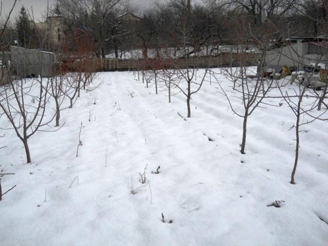 Name:  DSCN3641.jpg
Views: 1092
Size:  45.9 KB
