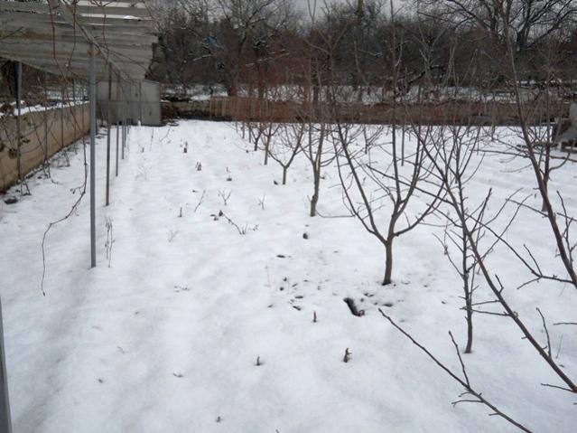 Name:  DSCN3642.jpg
Views: 1069
Size:  49.8 KB