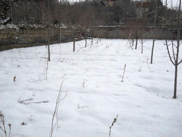 Name:  DSCN3643.jpg
Views: 1088
Size:  40.0 KB