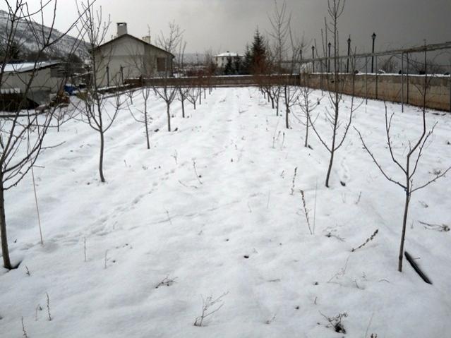 Name:  DSCN3644.jpg
Views: 1056
Size:  45.3 KB