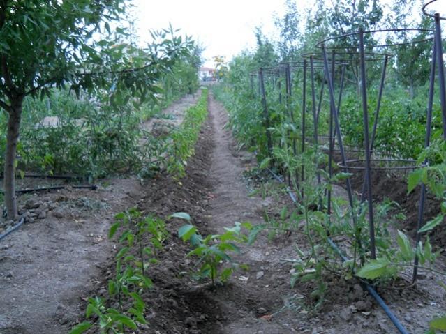Name:  037.jpg
Views: 1155
Size:  69.9 KB
