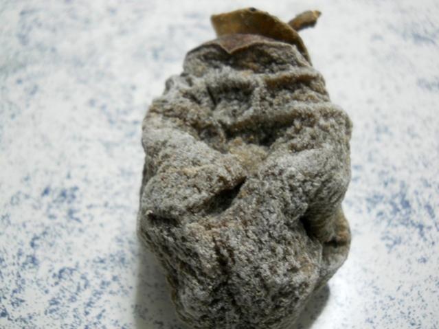 Name:  DSCN3687.jpg
Views: 1562
Size:  40.8 KB
