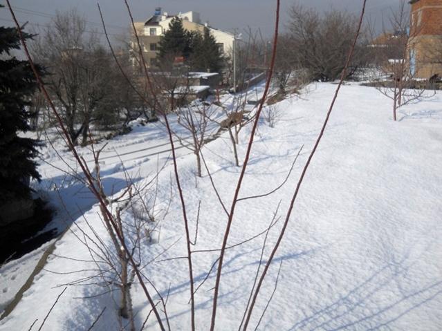 Name:  DSCN3691.jpg
Views: 1575
Size:  56.5 KB