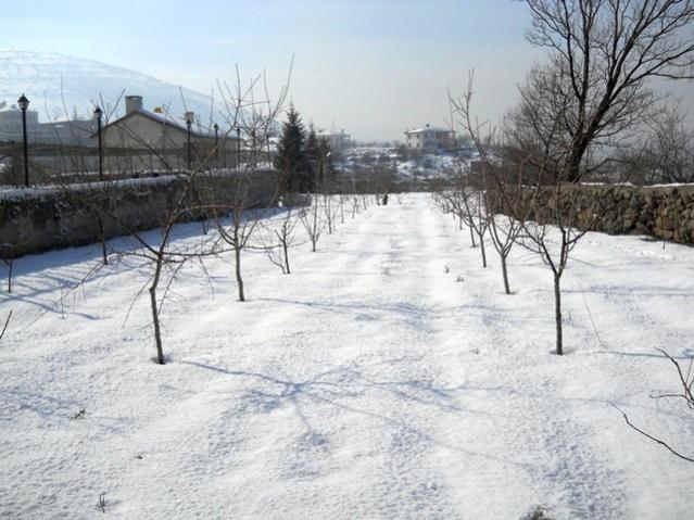 Name:  DSCN3701.jpg
Views: 1552
Size:  54.7 KB