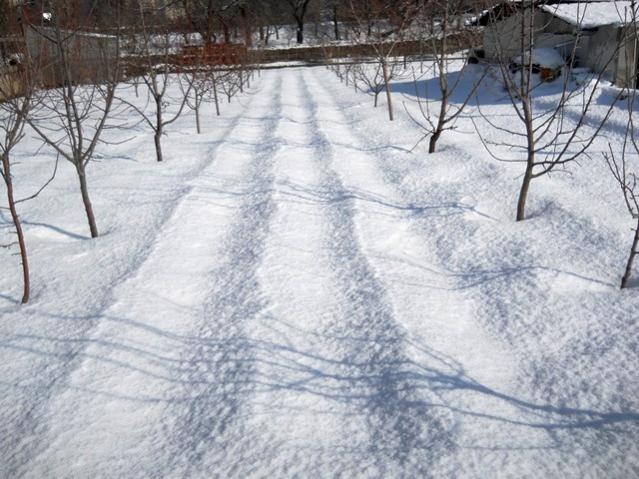 Name:  DSCN3705.jpg
Views: 1778
Size:  60.6 KB